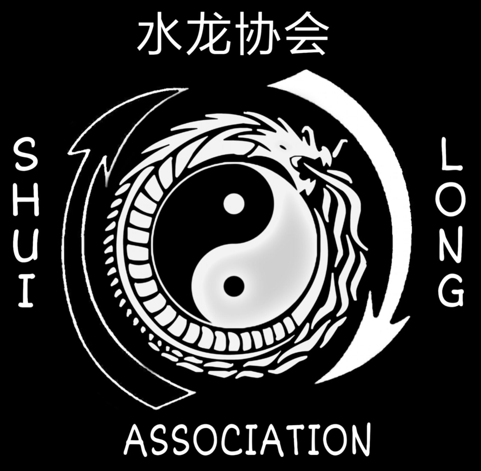 Shui Long Un Linguaggio Universale per la Vita